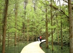 长沙县大山冲森林公园